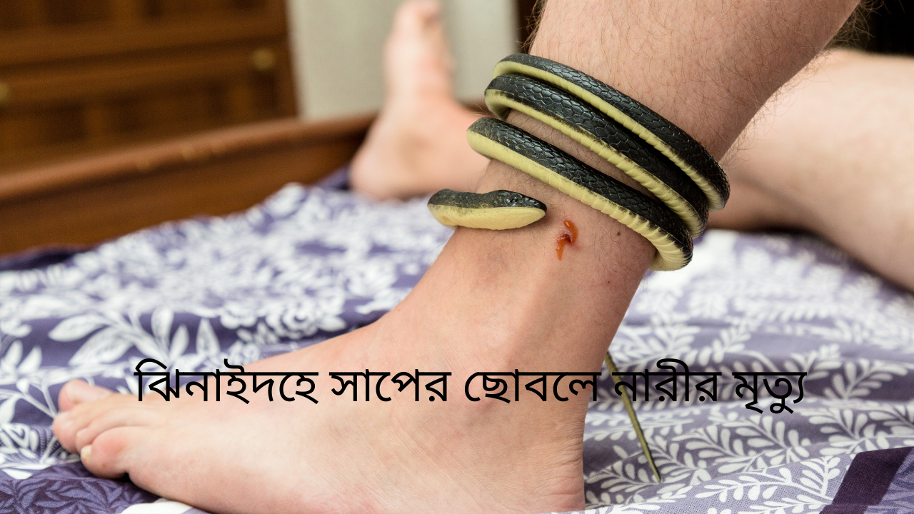 ঝিনাইদহে সাপের ছোবলে নারীর মৃত্যু