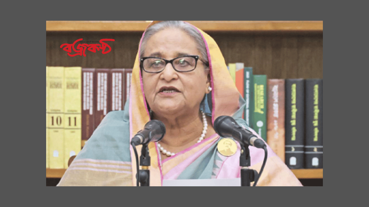 ভারতে চিকিৎসা নিতে ভিসা সহজ করা হয়েছে: প্রধানমন্ত্রী