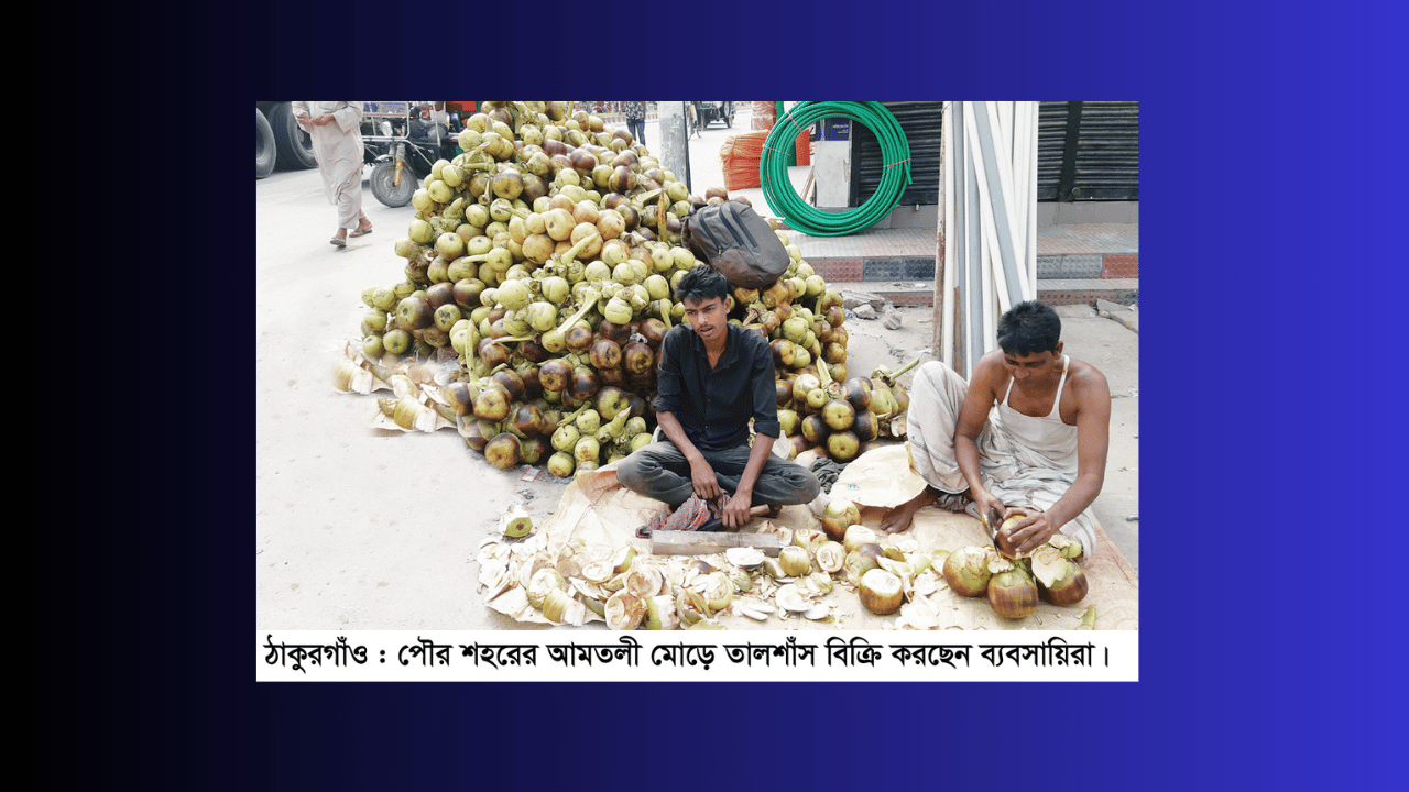 ঠাকুরগাঁওয়ে গরমের তীব্রতায় বেড়েছে তালশাঁসের বিক্রি