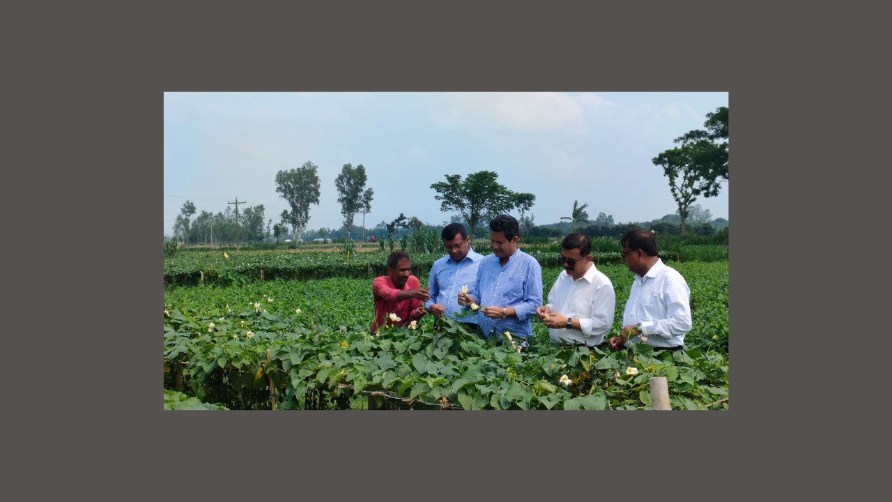 নিরাপদ সবজি উৎপাদন নিশ্চিত করতে জৈব বালাইনাশকের উপযোগিতা পরীক্ষায় কৃষি বিজ্ঞানীদের সহায়তা করছে ইউসিবি