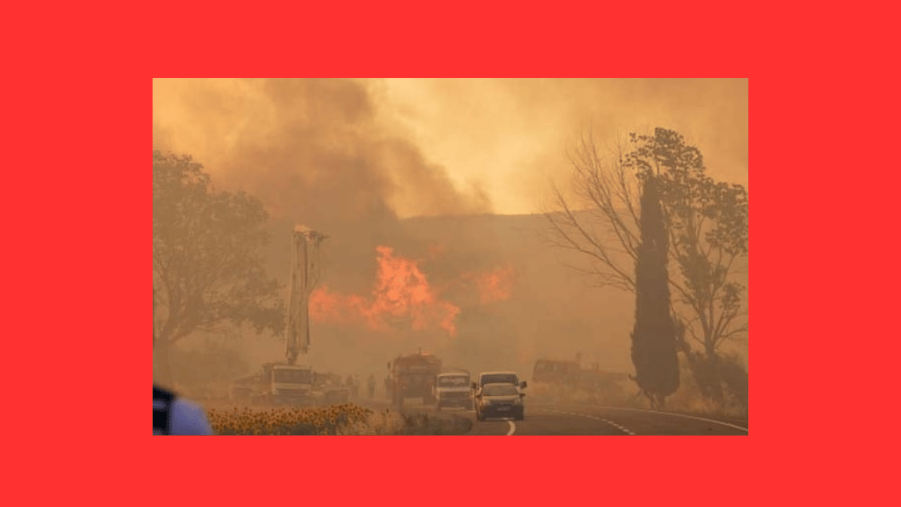 তুরস্কে দাবানলে মৃত্যু বেড়ে ১২, আহত ৭৫