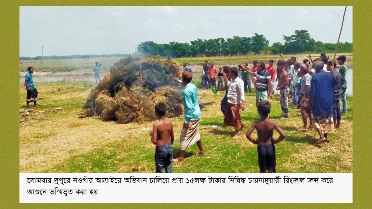 আত্রাইয়ে ১৫লক্ষ টাকার নিষিদ্ধ চায়নাদুয়ারী রিংজাল জব্দ করে ভস্মিভূত