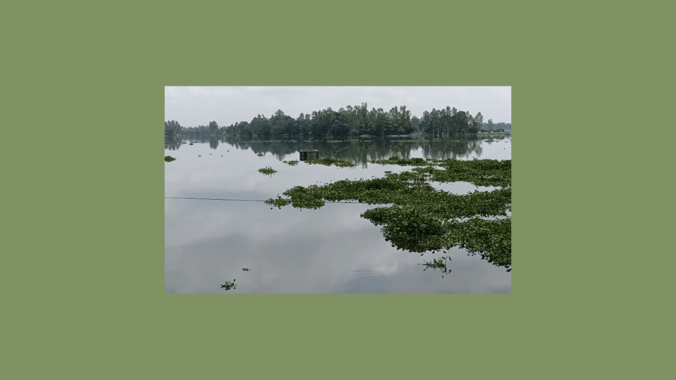 বিপৎসীমার ওপর ধরলা ও তিস্তার পানি, তলিয়ে গেছে গ্রামীণ জনপদ