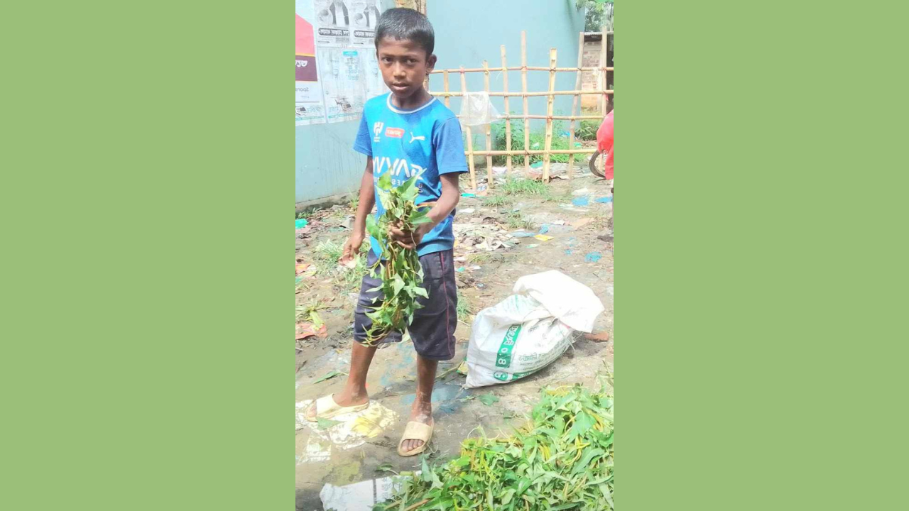 নবীগঞ্জের এক শিশু লেখা পড়া করে শিক্ষিত হতে চায়- টাকার অভাবে স্কুল ফাঁকি দিয়ে শাক- সবজি বিক্রয় করছে!