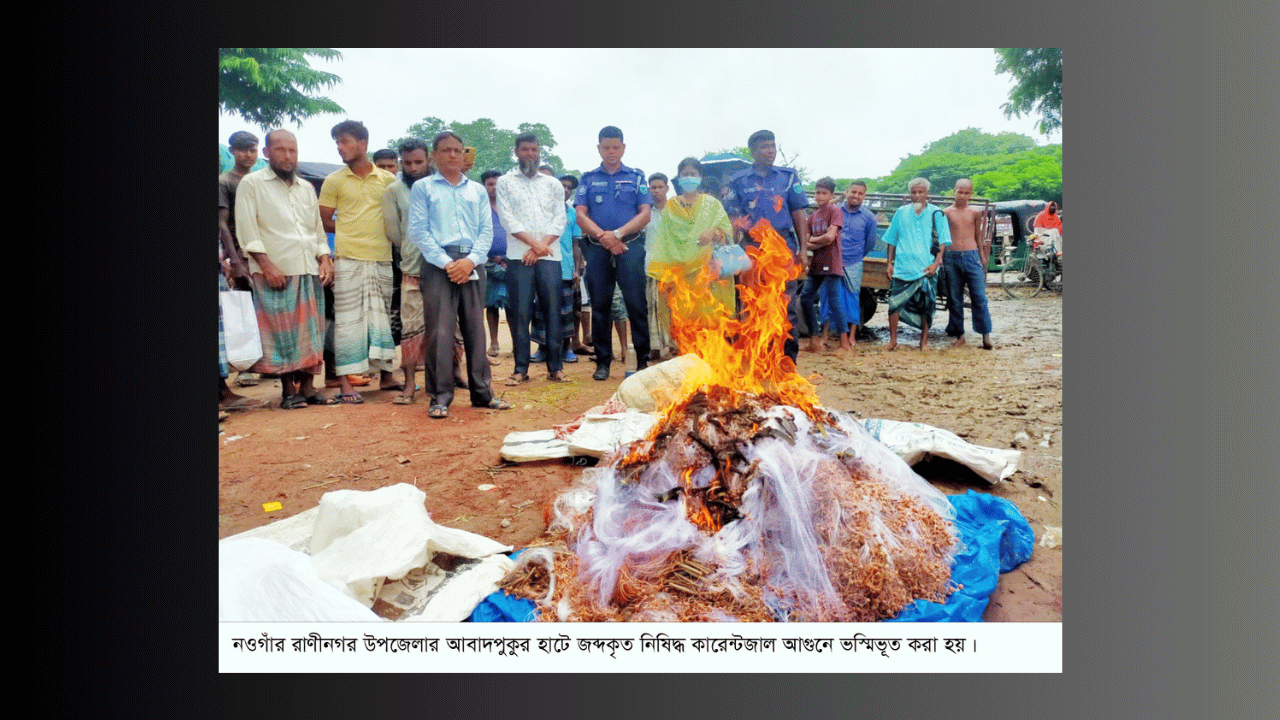 রাণীনগরের আবাদপুকুর হাটে ১০হাজার মিটার নিষিদ্ধ কারেন্টজাল জব্দ করে ভস্মিভূত