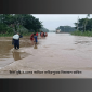 টানা বৃষ্টি ও ঢলের পানিতে তাহিরপুরের নিম্নাঞ্চল প্লাবিত