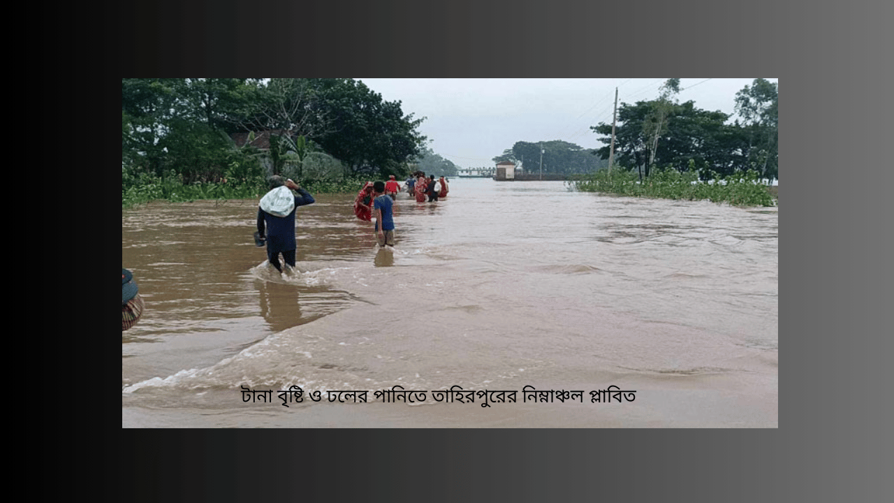 টানা বৃষ্টি ও ঢলের পানিতে তাহিরপুরের নিম্নাঞ্চল প্লাবিত