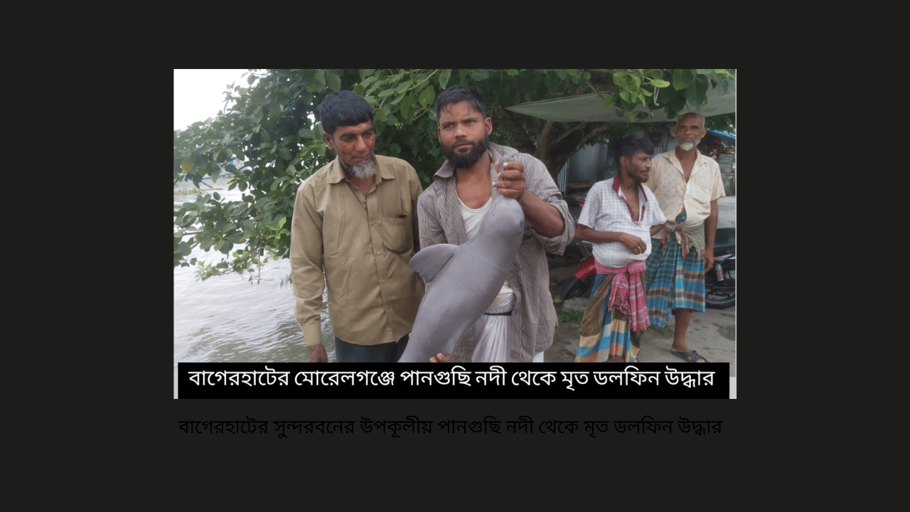 বাগেরহাটের সুন্দরবনের উপকূলীয় পানগুছি নদী থেকে মৃত ডলফিন উদ্ধার