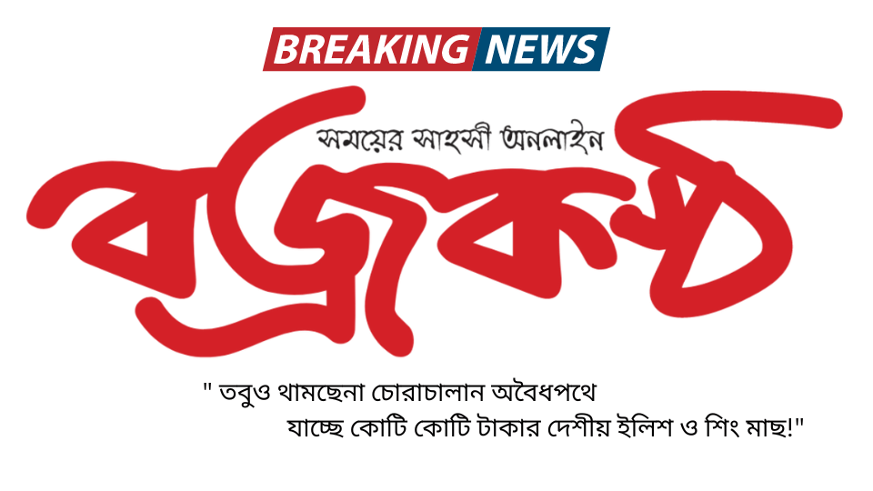 ” তবুও থামছেনা চোরাচালান অবৈধপথে যাচ্ছে কোটি কোটি টাকার দেশীয় ইলিশ ও শিং মাছ!”