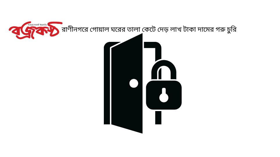 রাণীনগরে গোয়াল ঘরের তালা কেটে দেড় লাখ টাকা দামের গরু চুরি