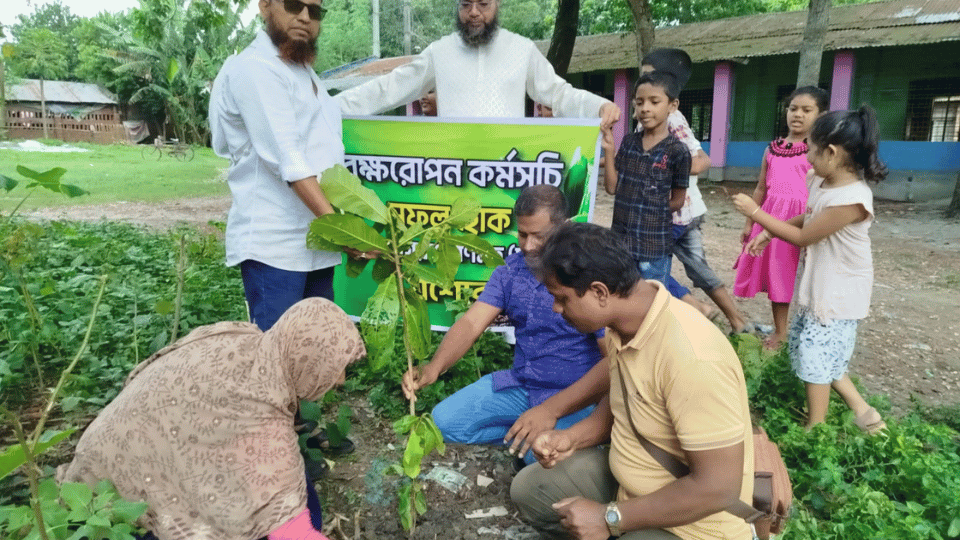 যশোরে সজাগরে ফলদ গাছরে চারা বতিরণ ও বৃক্ষরোপণ র্কমসূচি পালন