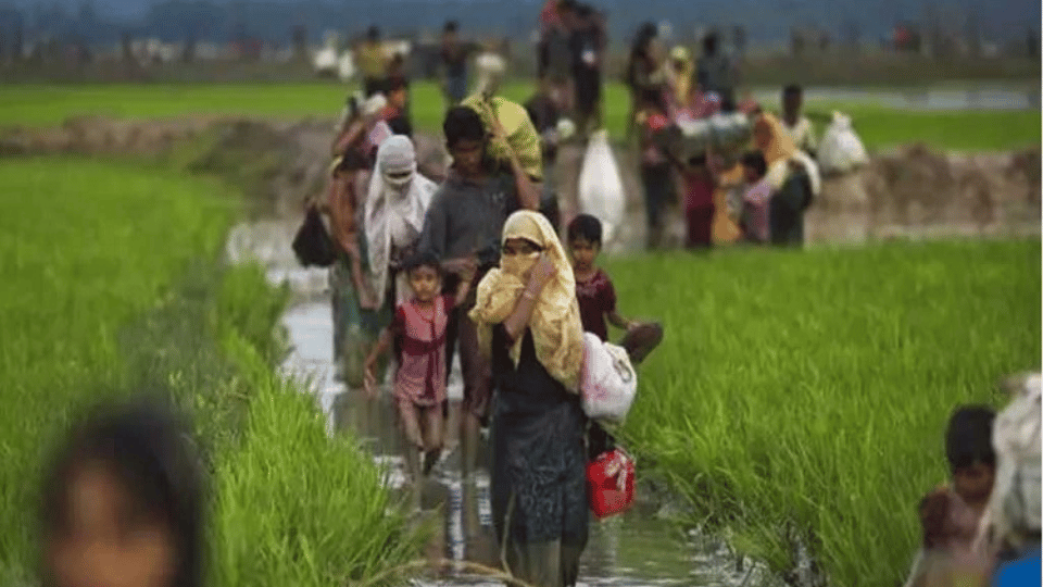 দুইদিন পালিয়ে এলো ৭০০ রোহিঙ্গা, অনুপ্রবেশের অপেক্ষায় আরো ৪০ হাজার