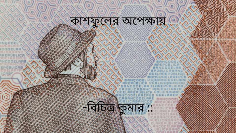 কাশফুলের অপেক্ষায়