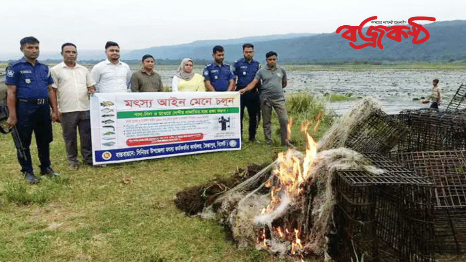 লাল শাপলাবিলে অবৈধভাবে মৎস্য শিকারের বিরুদ্ধে অভিযান