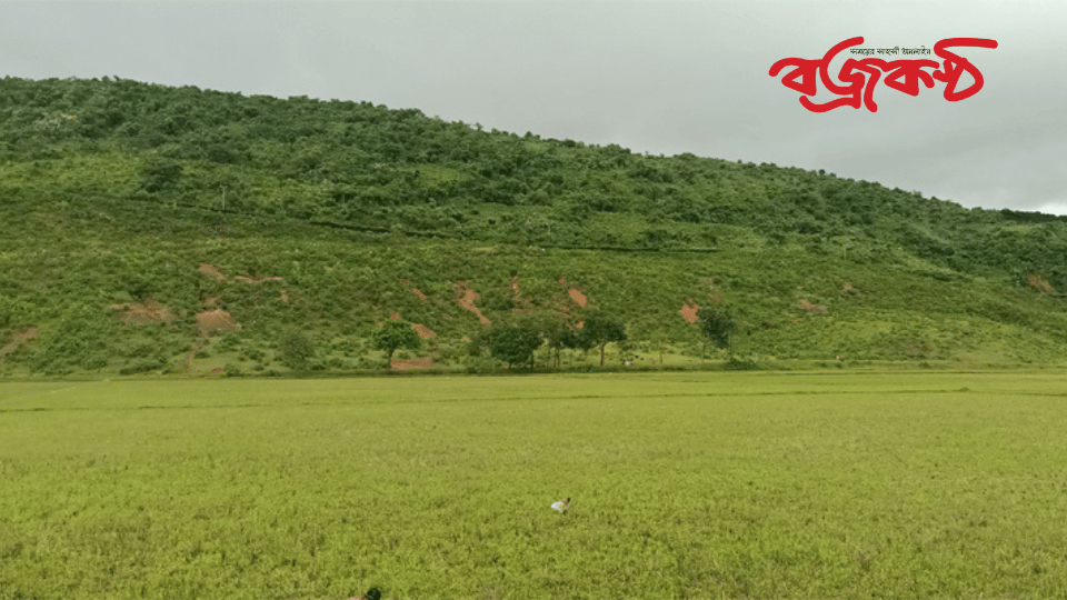 সীমান্তের ওপারে কয়লা গুহায় বাংলাদেশির মৃত্যু