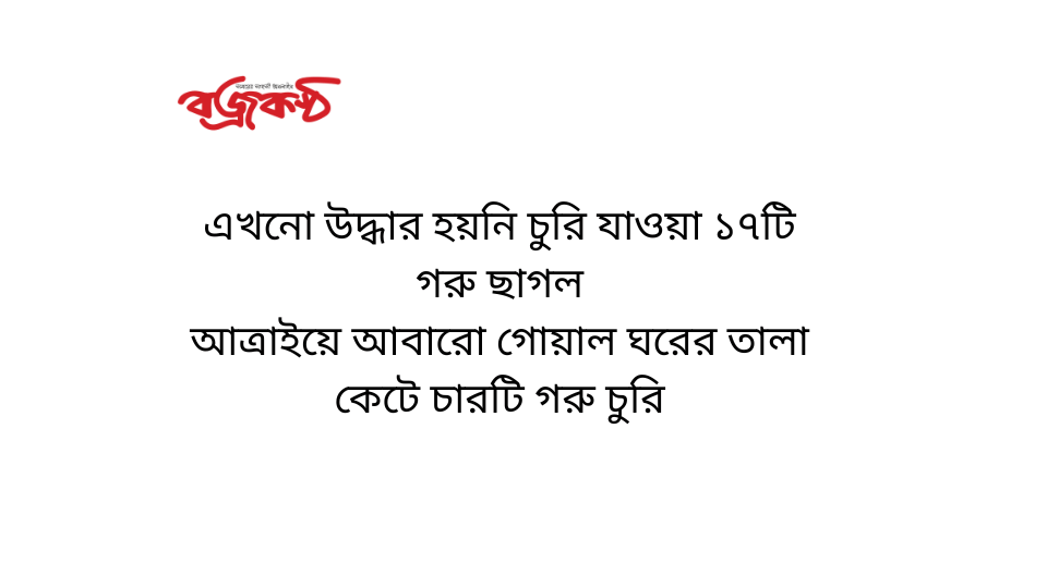 এখনো উদ্ধার হয়নি চুরি যাওয়া ১৭টি গরু ছাগল আত্রাইয়ে আবারো গোয়াল ঘরের তালা কেটে চারটি গরু চুরি