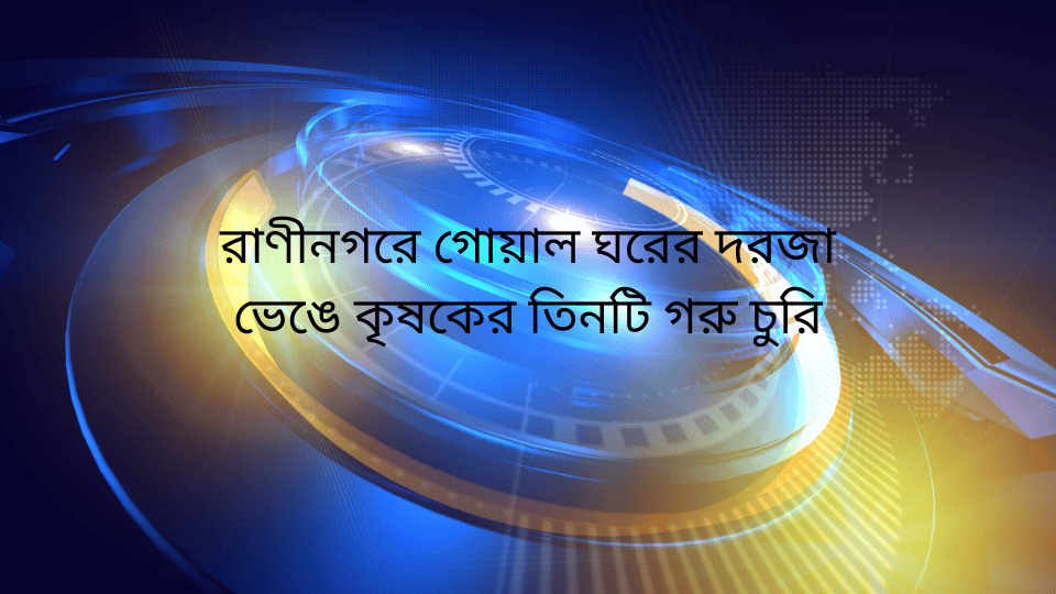 রাণীনগরে গোয়াল ঘরের দরজা ভেঙে কৃষকের তিনটি গরু চুরি