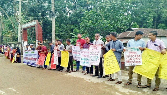 দশম গ্রেড বাস্তবায়নের দাবিতে বড়লেখায় সহকারী শিক্ষকদের মানববন্ধন