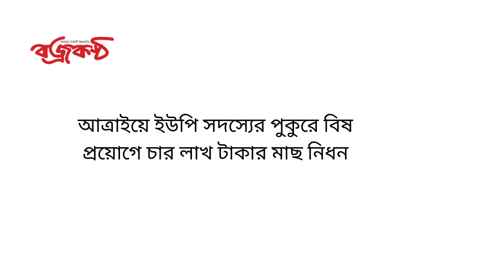 আত্রাইয়ে ইউপি সদস্যের পুকুরে বিষ প্রয়োগে চার লাখ টাকার মাছ নিধন