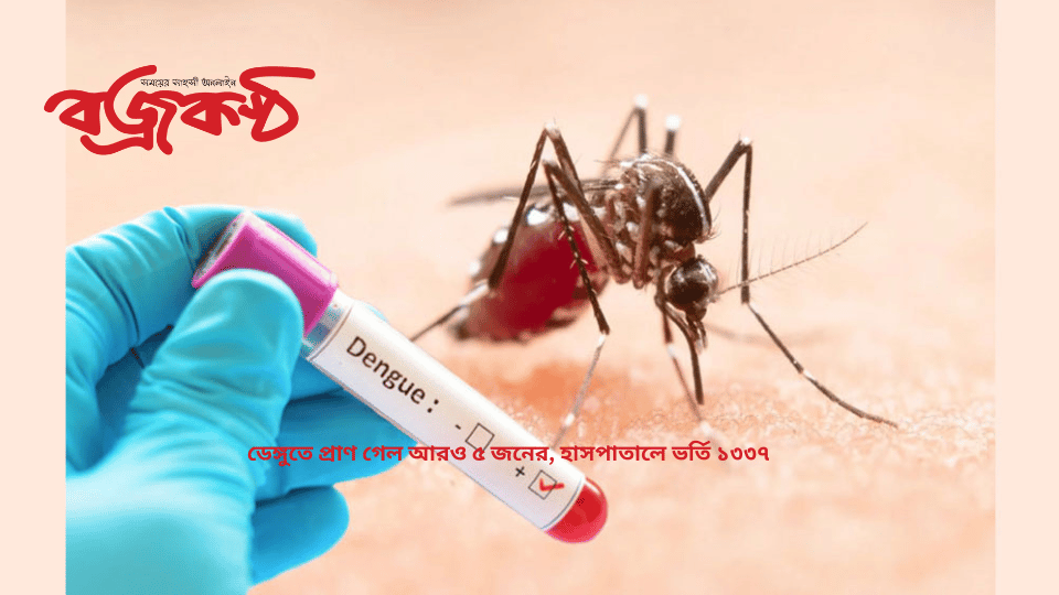 ডেঙ্গুতে প্রাণ গেল আরও ৫ জনের, হাসপাতালে ভর্তি ১৩৩৭