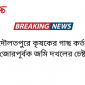 দৌলতপুরে কৃষকের গাছ কর্তন জোরপূর্বক জমি দখলের চেষ্টা