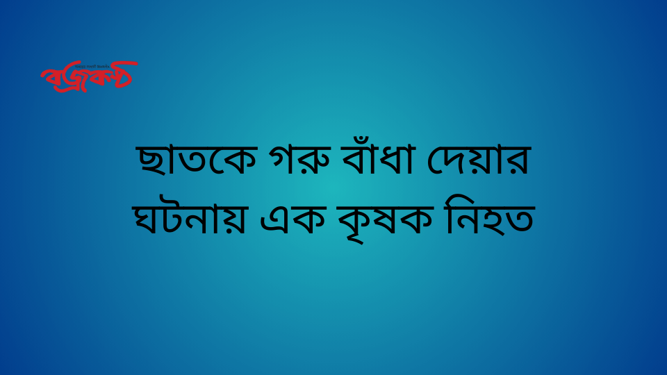 ছাতক, গরু, বাঁধা