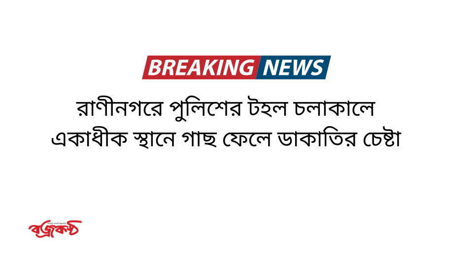 রাণীনগরে পুলিশের টহল চলাকালে একাধীক স্থানে গাছ ফেলে ডাকাতির চেষ্টা