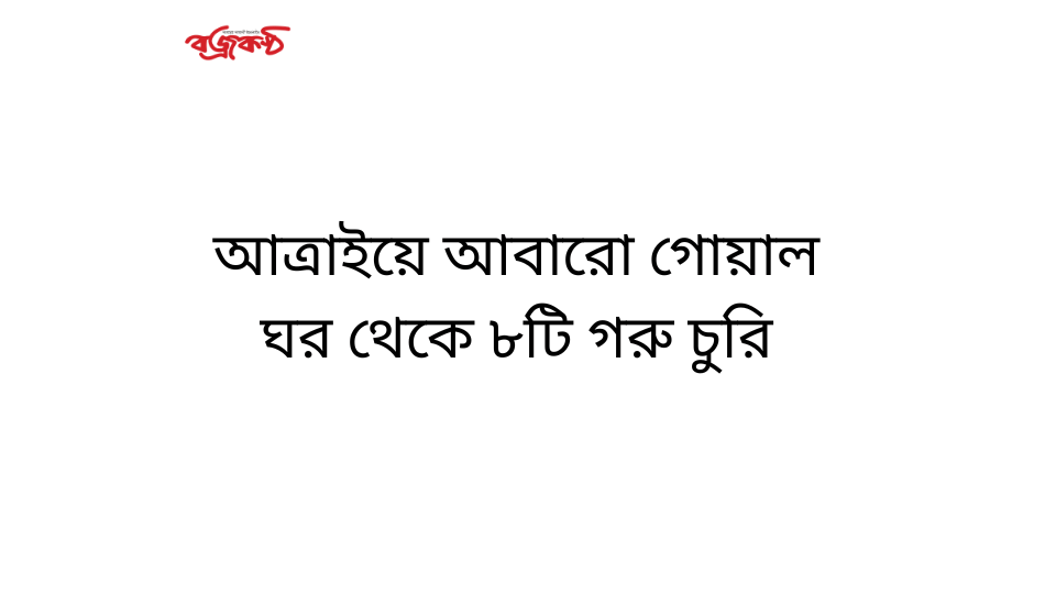 আত্রাইয়ে আবারো গোয়াল ঘর থেকে ৮টি গরু চুরি